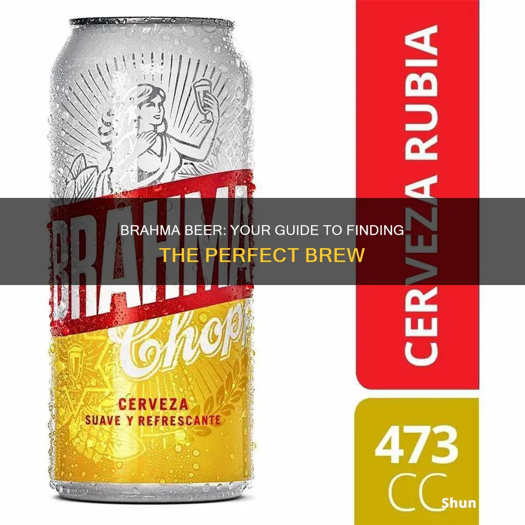 where to buy brahma beer