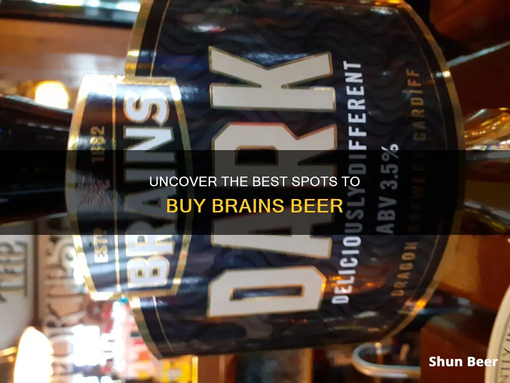 where to buy brains beer