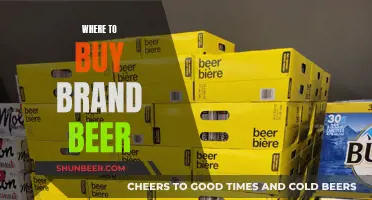 Best Breweries: Your Guide to Authentic Beer Shopping