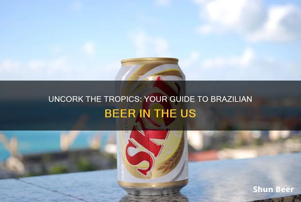 where to buy brazilian beer in the us