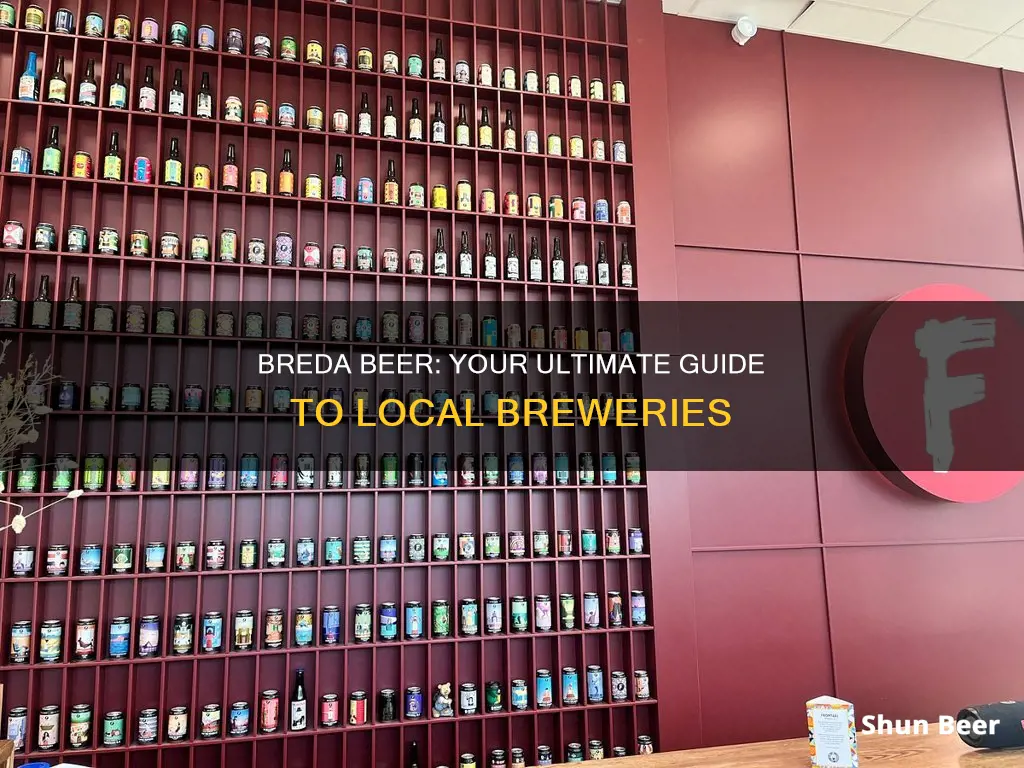 where to buy breda beer