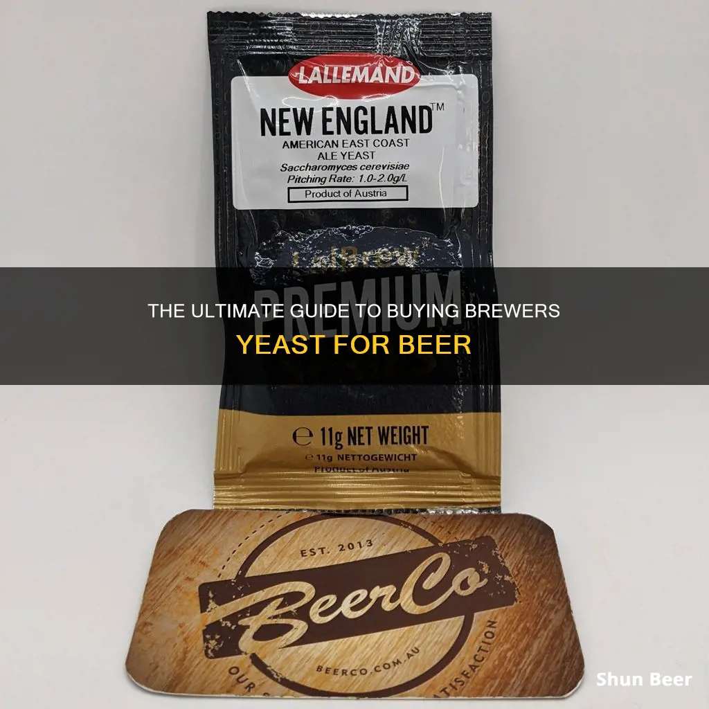 where to buy brewers yeast for beer