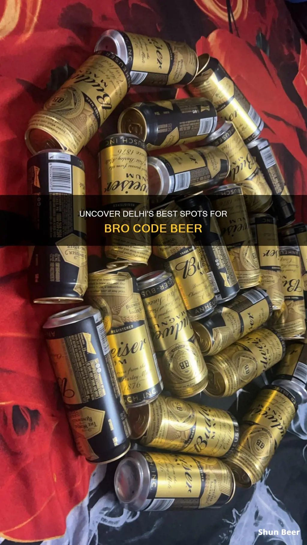 where to buy bro code beer in delhi