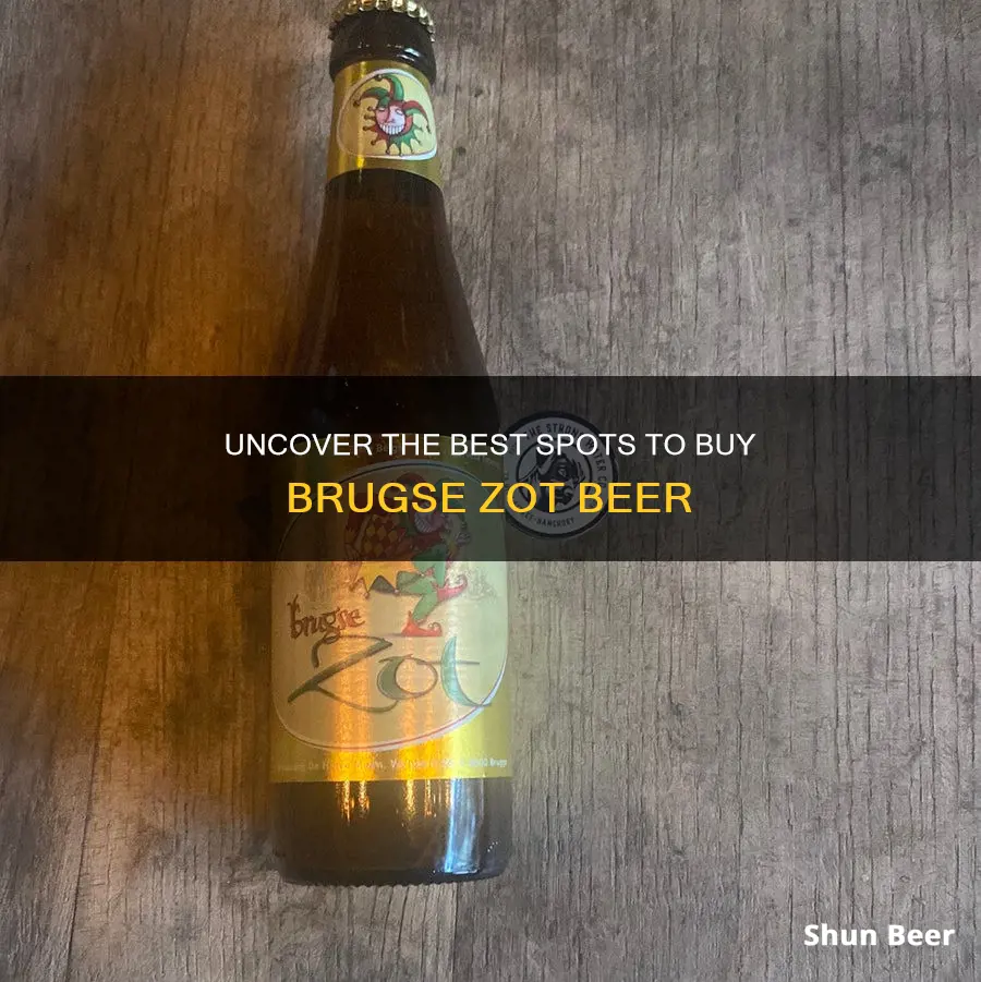 where to buy brugse zot beer