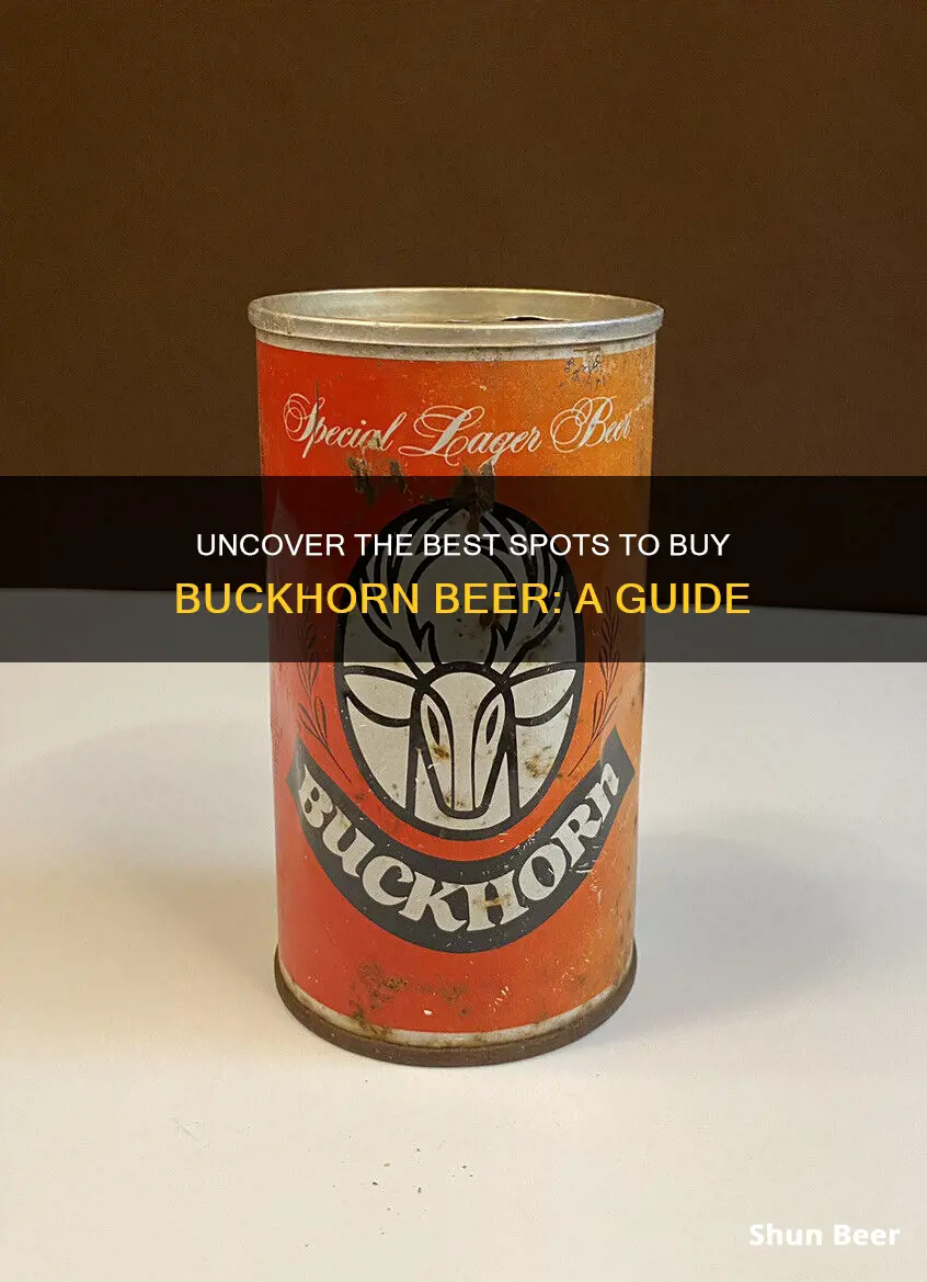 where to buy buckhorn beer