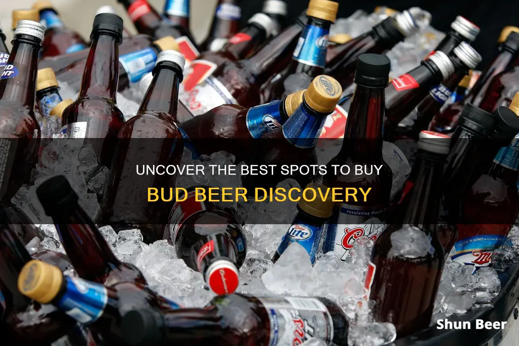 where to buy bud beer discovery