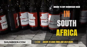 Budweiser Beer: South African Retailers and Online Sources