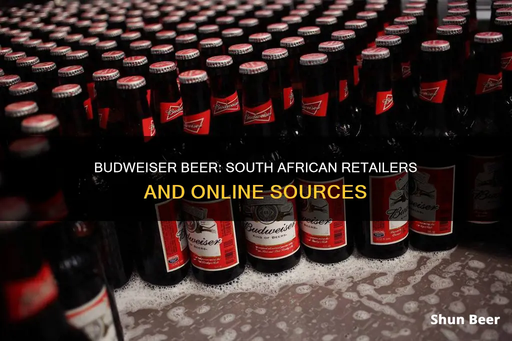 where to buy budweiser beer in south africa