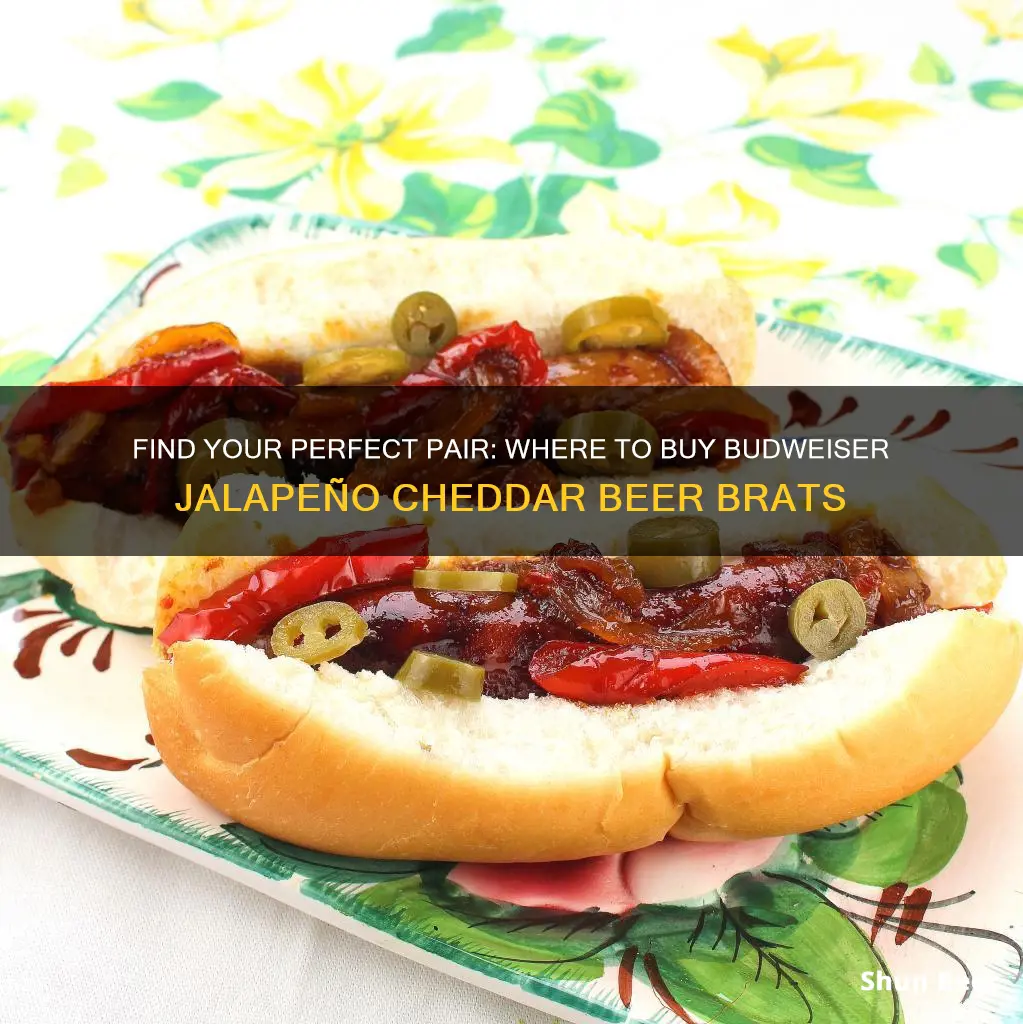 where to buy budweiser jalepeno cheddar beer brats