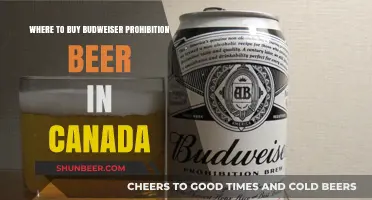 Budweiser Prohibition: Canada's Hidden Craft Beer Treasure Hunt