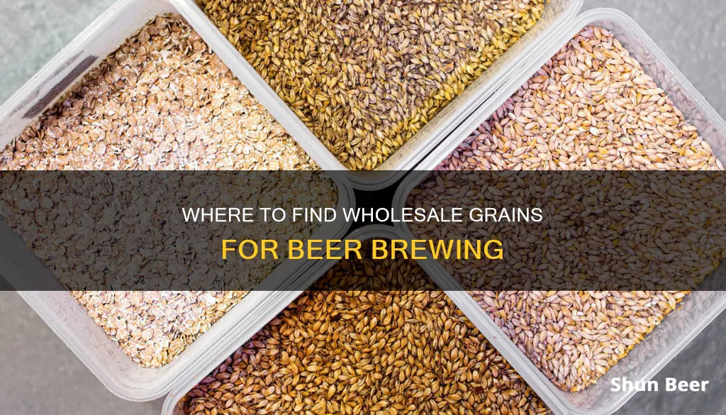 where to buy bulk grains beer