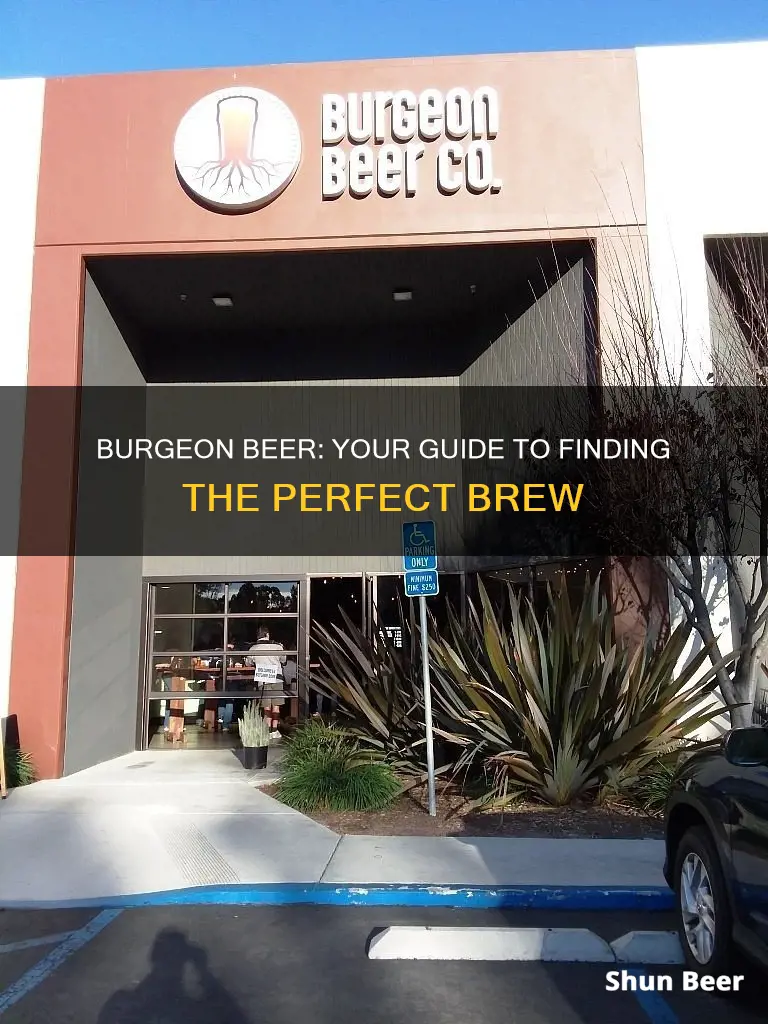 where to buy burgeon beer