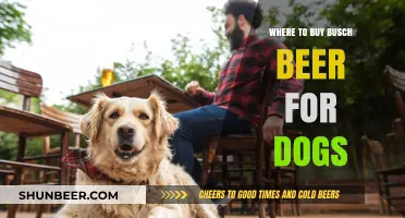 Where to Find Busch Beer for Dogs: A Guide for Pet Owners