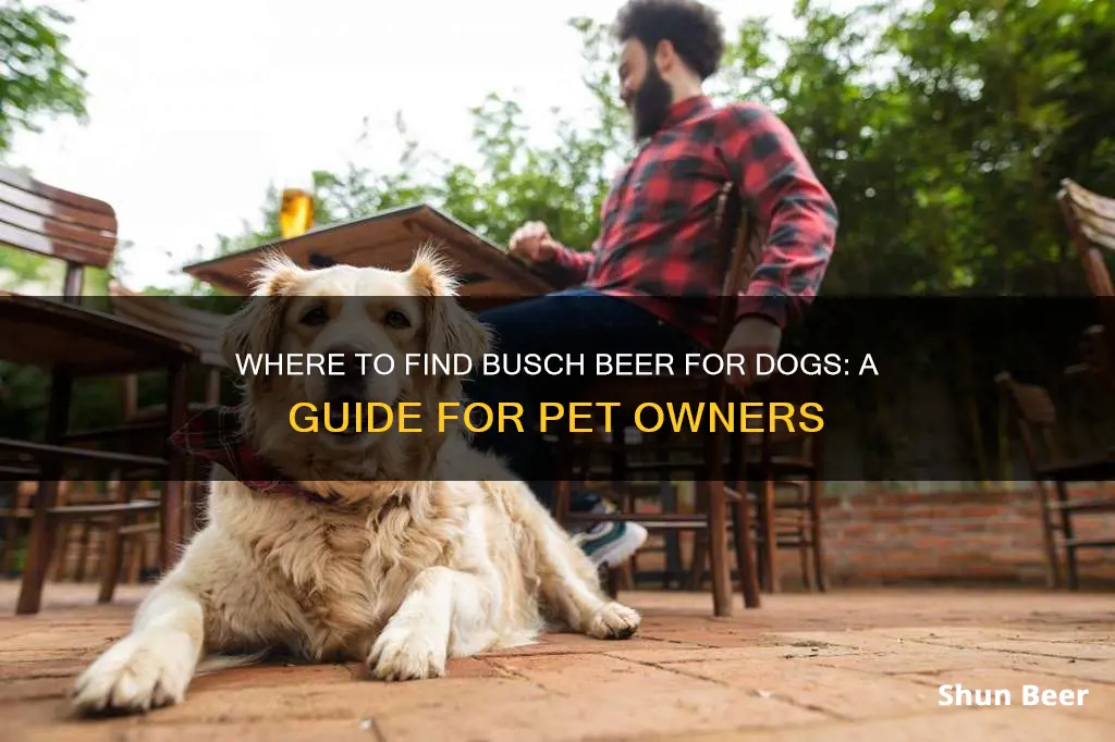 where to buy busch beer for dogs