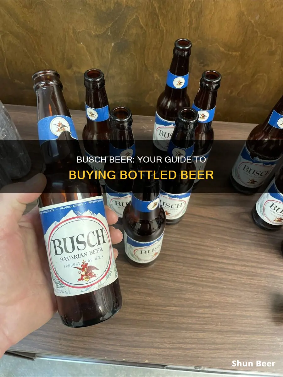 where to buy busch beer in bottles