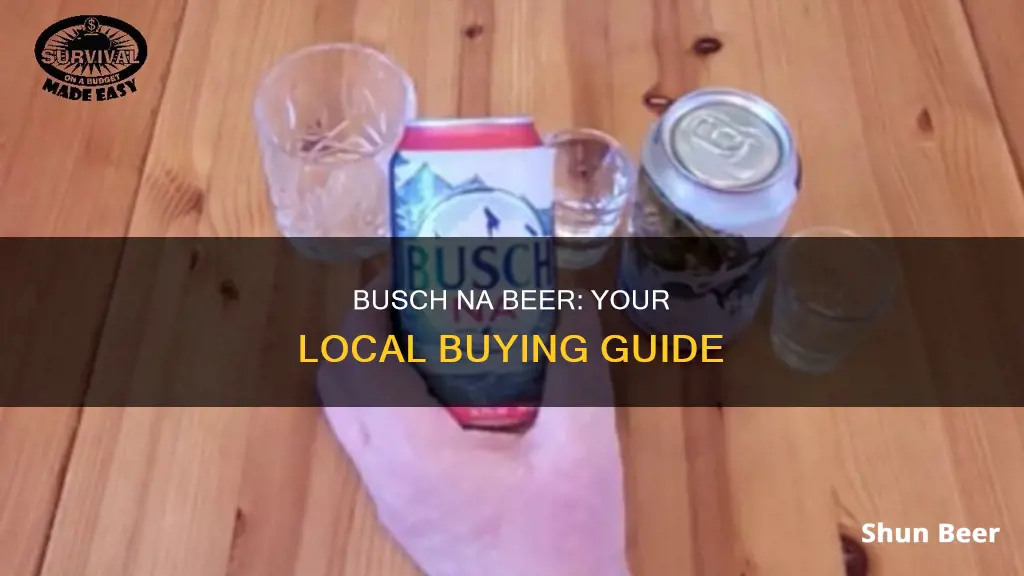 where to buy busch na beer