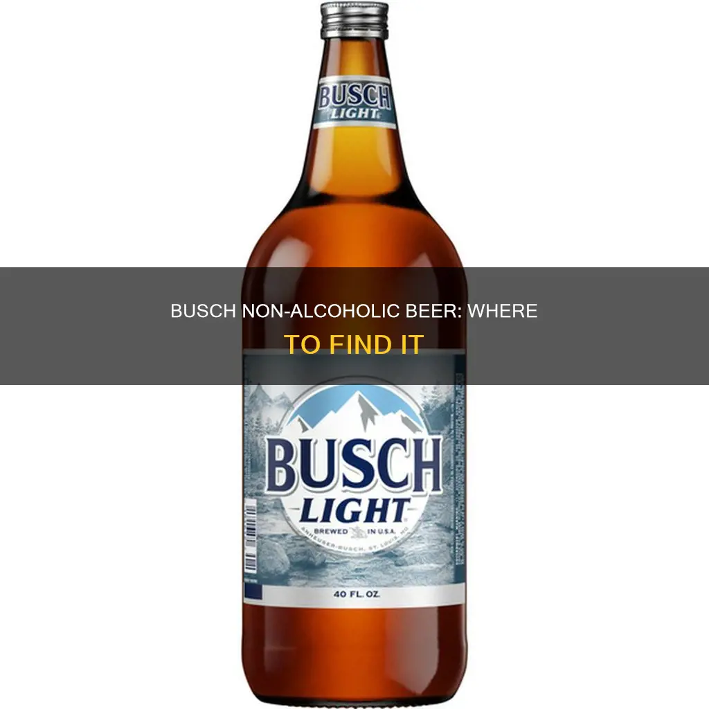 where to buy busch non alcoholic beer