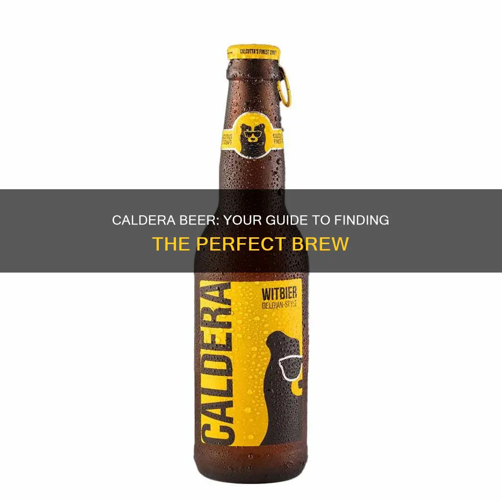 where to buy caldera beer