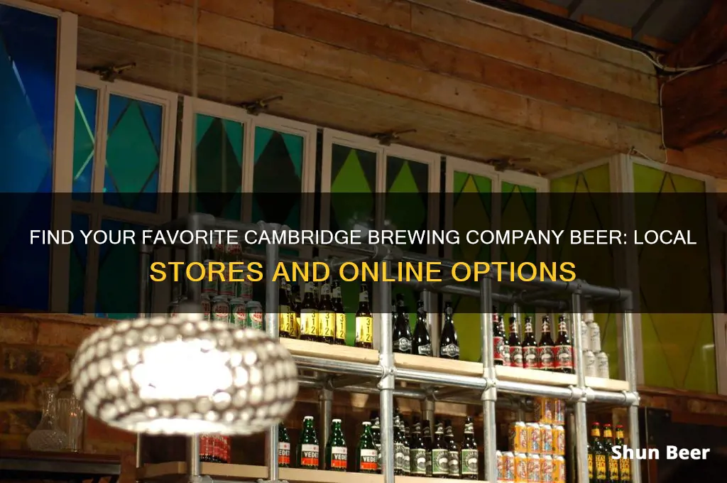 where to buy cambridge brewing company beer