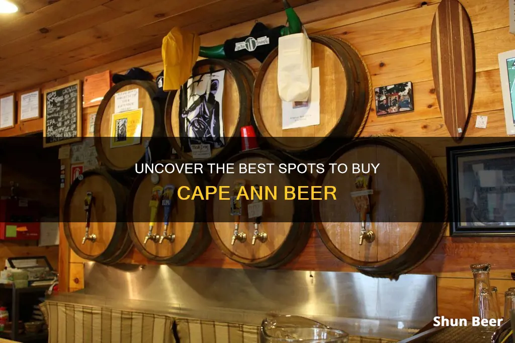 where to buy cape ann beer