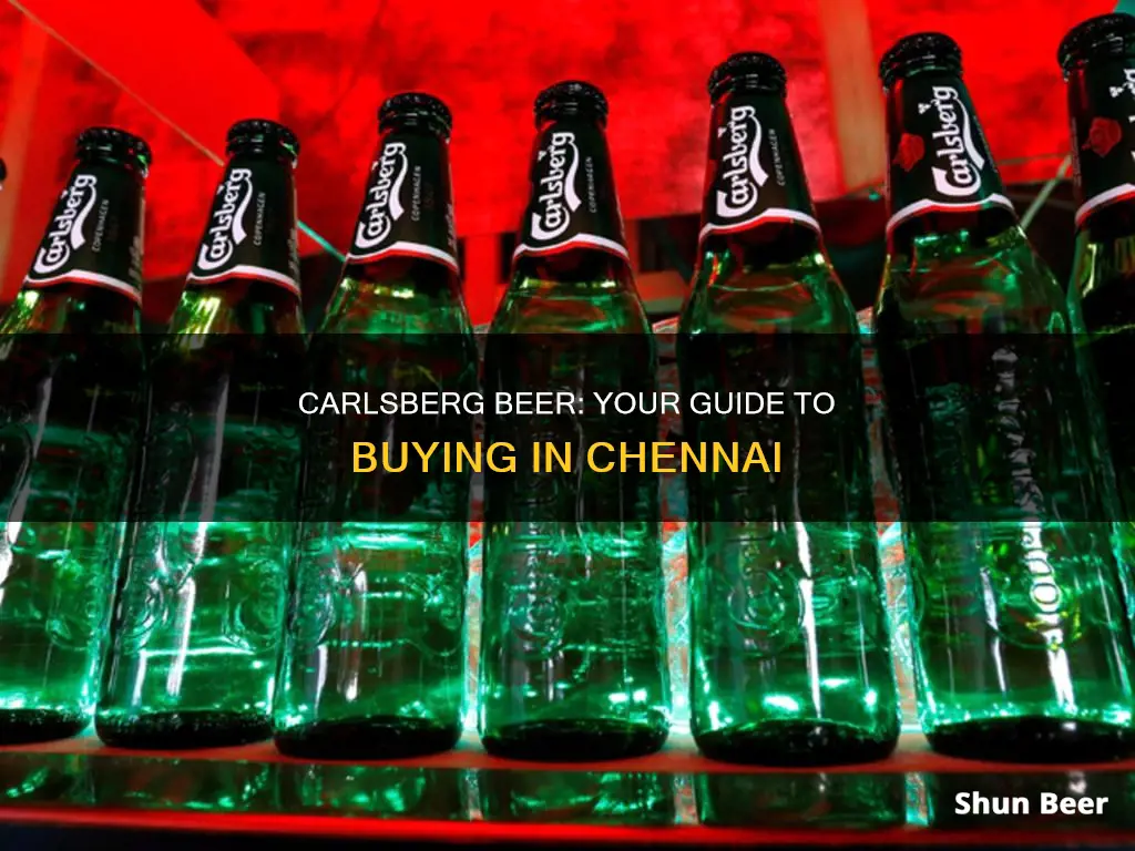 where to buy carlsberg beer in chennai