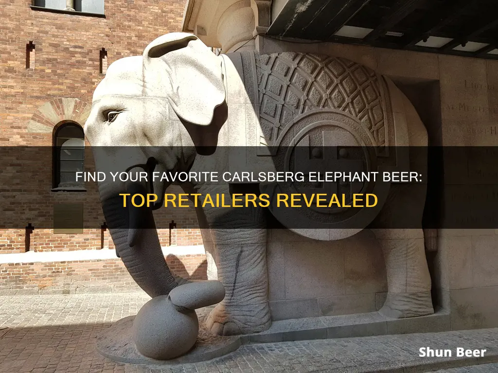 where to buy carlsberg elephant beer