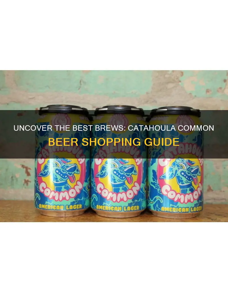 where to buy catahoula common beer