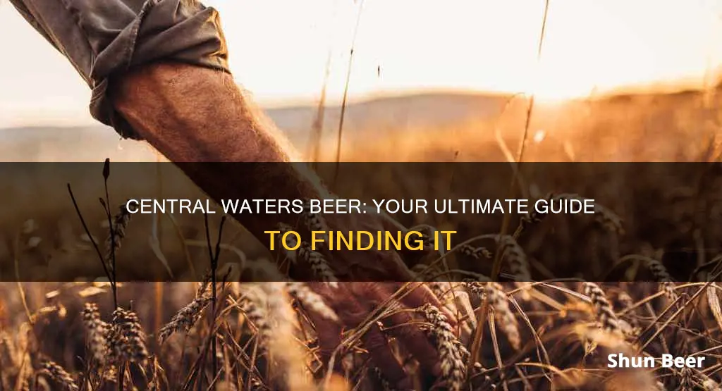 where to buy central waters beer