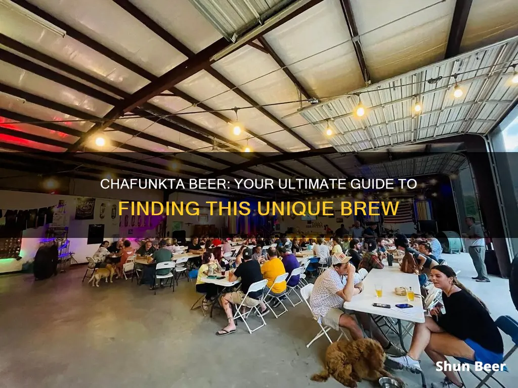 where to buy chafunkta beer