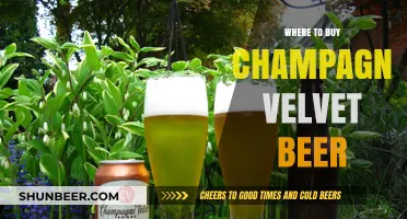 Uncover the Secrets: Where to Find Champagne Velvet Beer