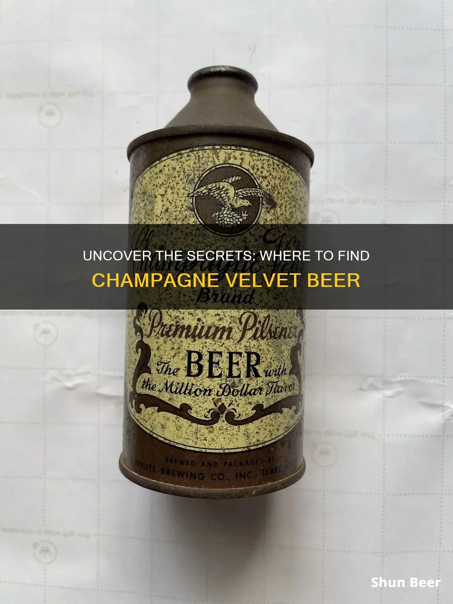 where to buy champagne velvet beer