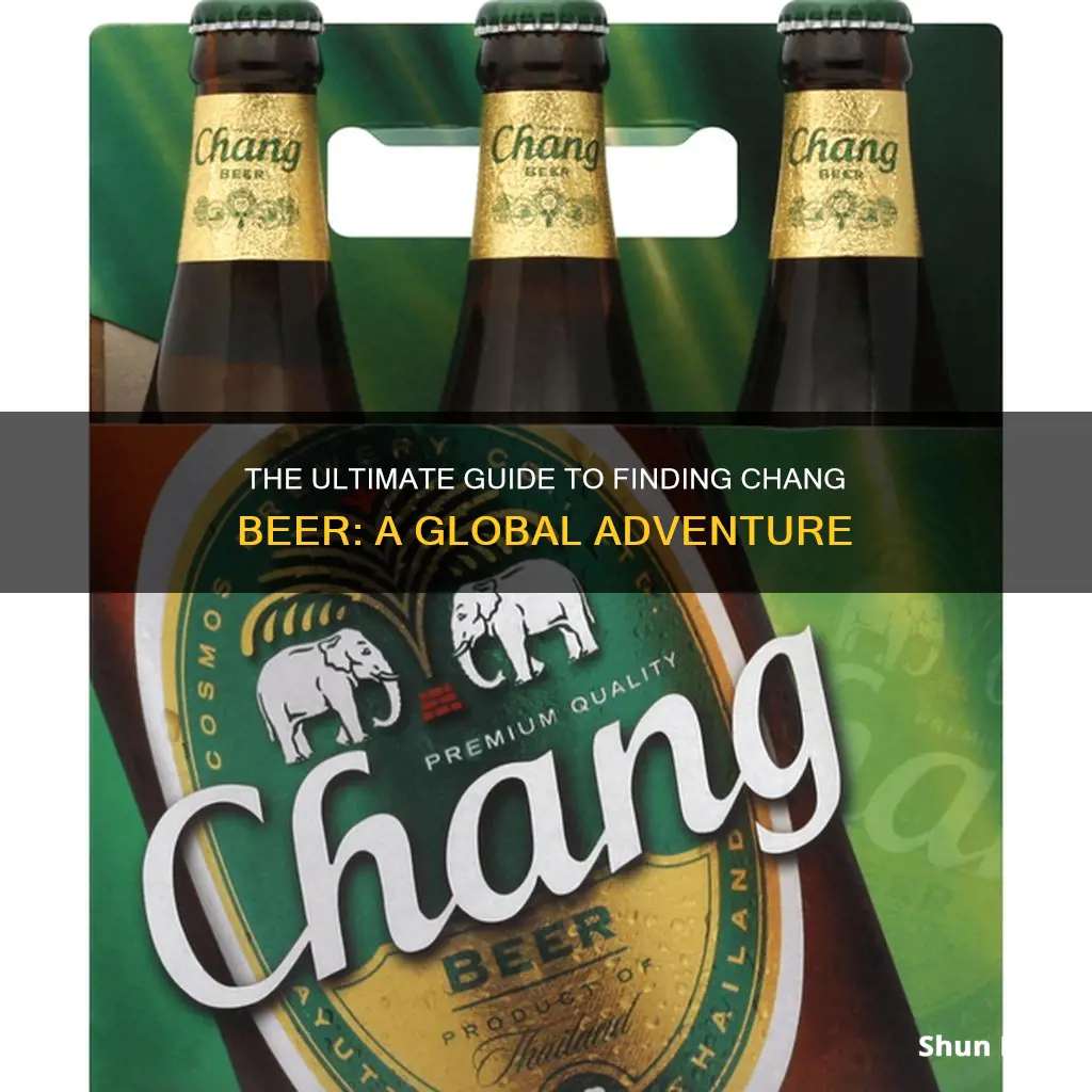 where to buy chang beer