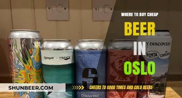 Cheap Beer in Oslo: Top 5 Affordable Spots