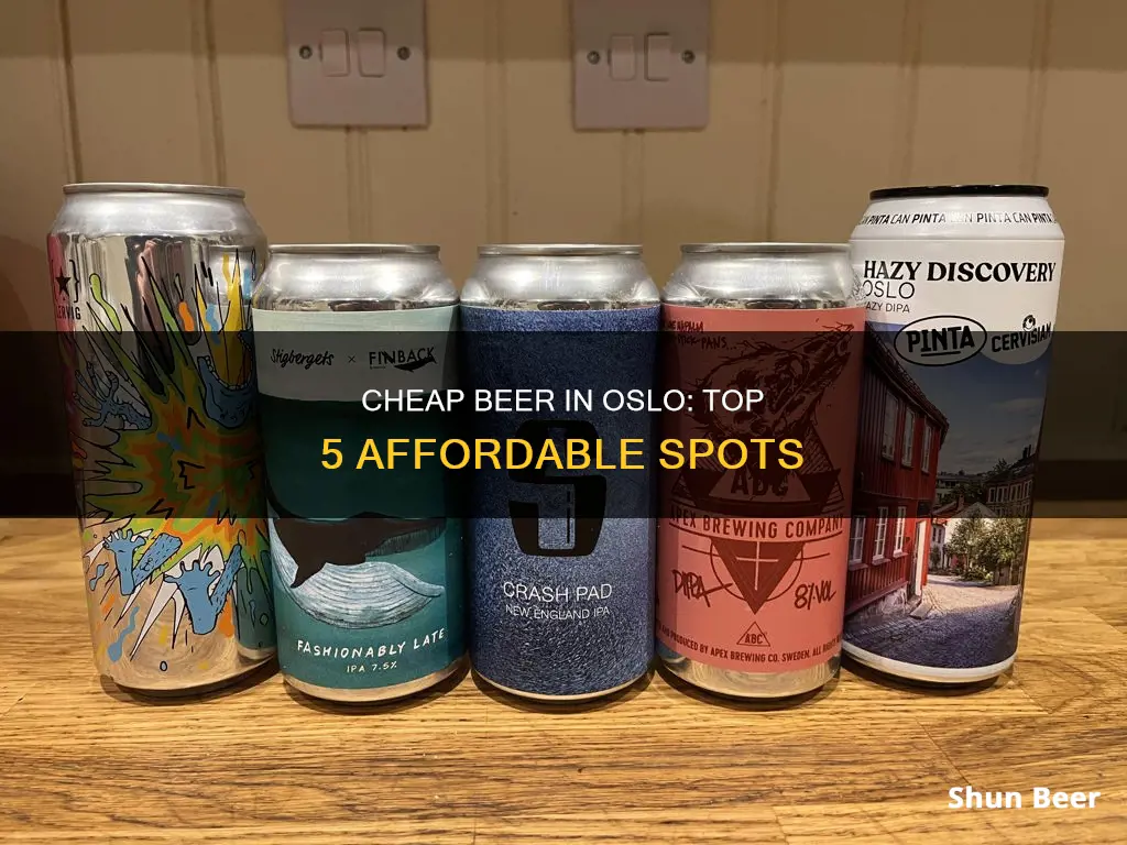 where to buy cheap beer in oslo