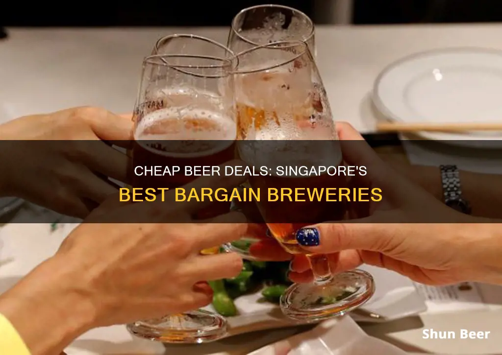 where to buy cheap beer in singapore