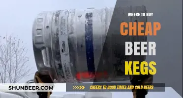 Cheap Beer Kegs: Top Sources for Affordable Supplies