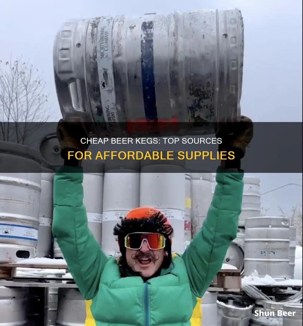 where to buy cheap beer kegs