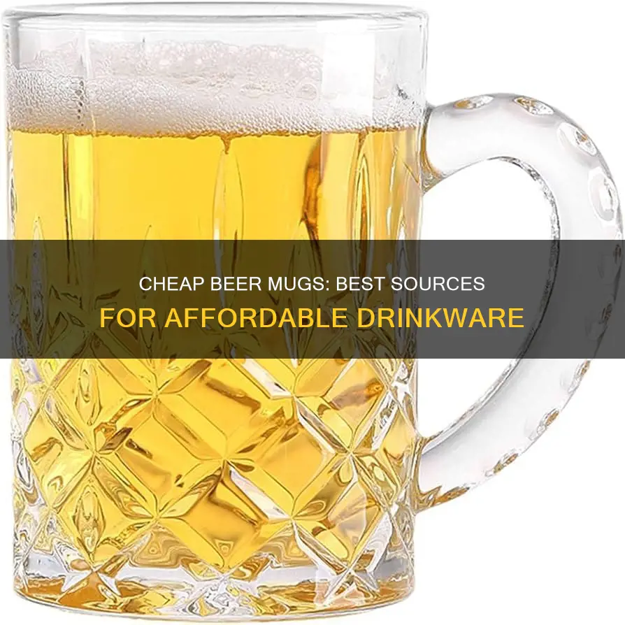 where to buy cheap beer mugs