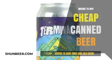 Cheap Canned Beer: Top Stores for Affordable Brews