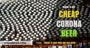 Corona Beer: Affordable Options for Beer Lovers