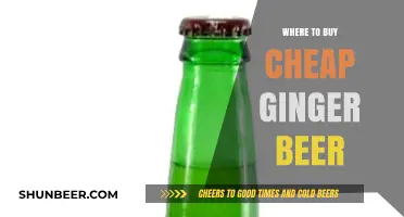 Cheap Ginger Beer: Top Sources for Affordable Fizz