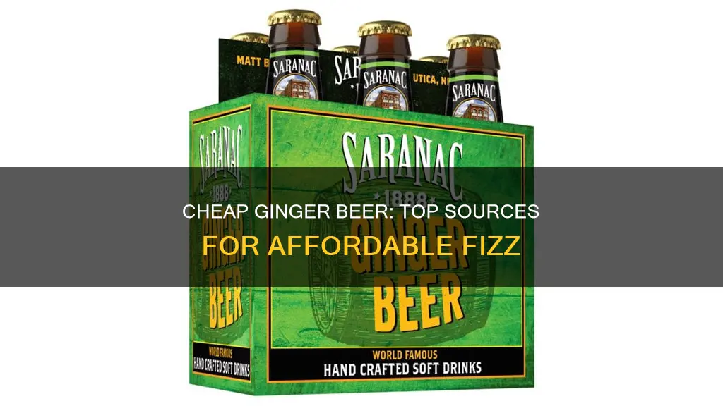 where to buy cheap ginger beer