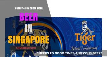 Tiger Beer Bargains: Top Spots for Affordable Singapore Brews