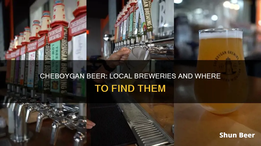 where to buy cheboygan beer