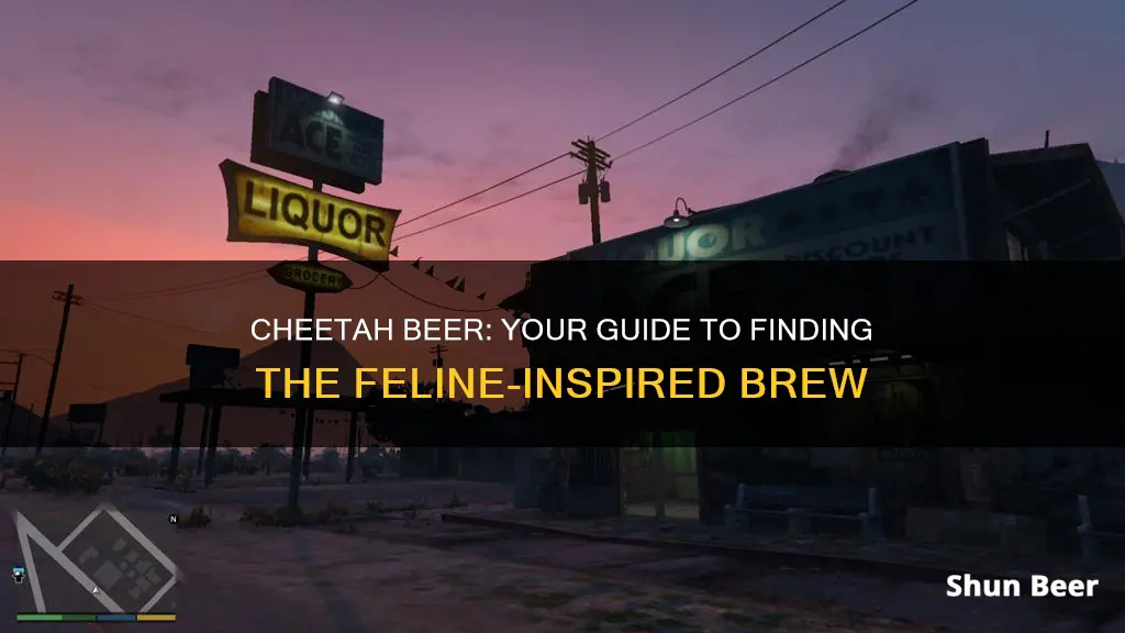 where to buy cheetah beer