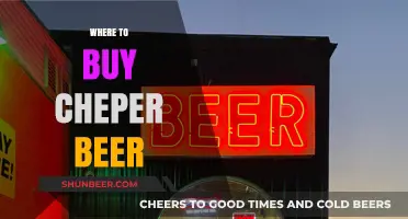 Cheap Beer: Top Stores for Affordable Brews