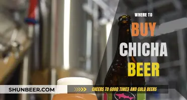 Chicha Beer: Discovering Authentic Breweries and Local Sources