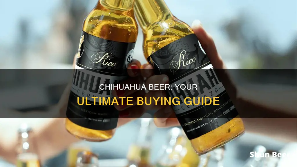 where to buy chihuahua beer