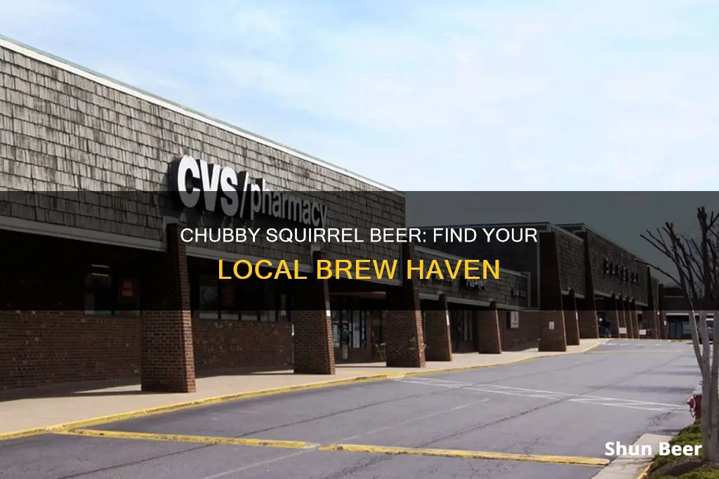 where to buy chubby squirrel beer