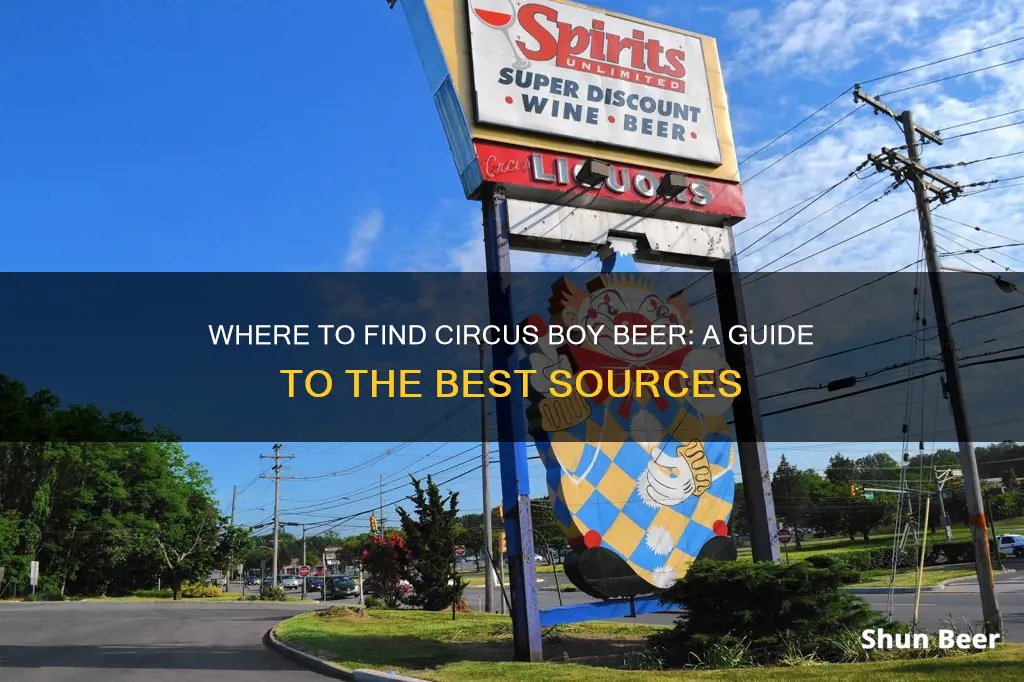 where to buy circus boy beer